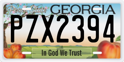 GA license plate PZX2394