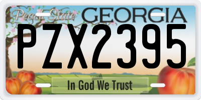 GA license plate PZX2395