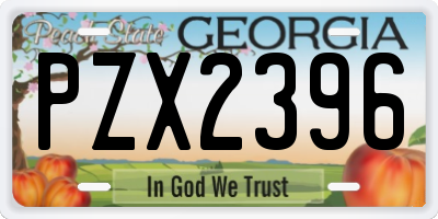 GA license plate PZX2396