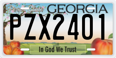 GA license plate PZX2401