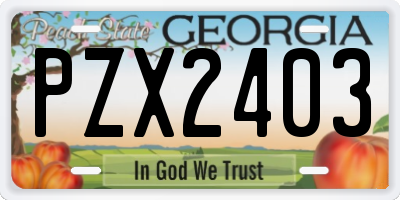 GA license plate PZX2403