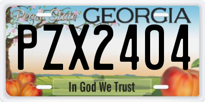 GA license plate PZX2404