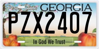 GA license plate PZX2407