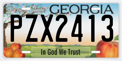 GA license plate PZX2413