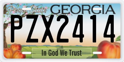 GA license plate PZX2414