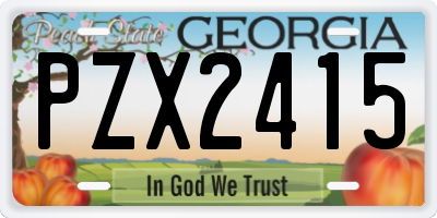 GA license plate PZX2415