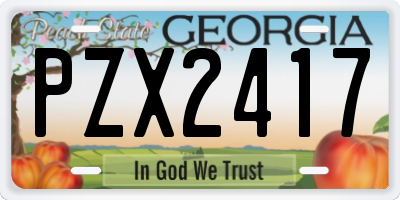 GA license plate PZX2417
