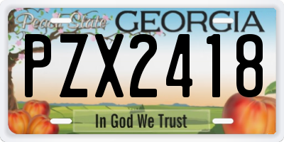 GA license plate PZX2418