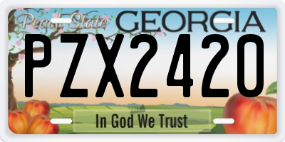 GA license plate PZX2420