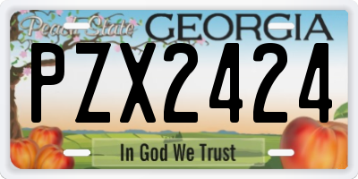 GA license plate PZX2424