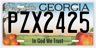 GA license plate PZX2425