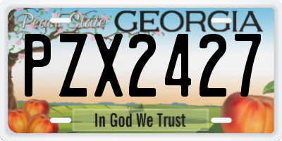 GA license plate PZX2427