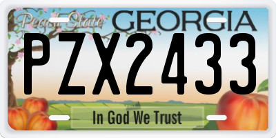 GA license plate PZX2433