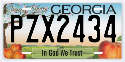 GA license plate PZX2434