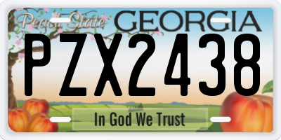 GA license plate PZX2438