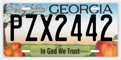 GA license plate PZX2442