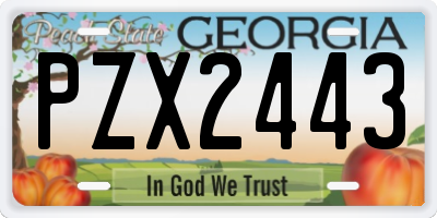 GA license plate PZX2443