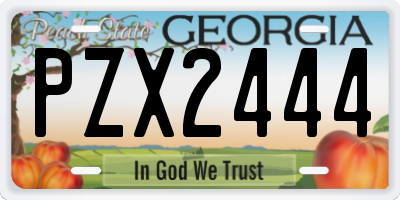 GA license plate PZX2444
