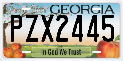 GA license plate PZX2445