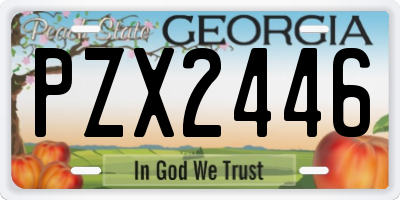 GA license plate PZX2446