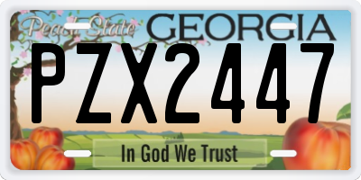 GA license plate PZX2447