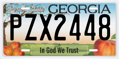 GA license plate PZX2448