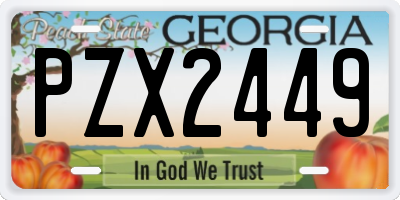 GA license plate PZX2449