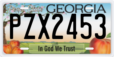 GA license plate PZX2453