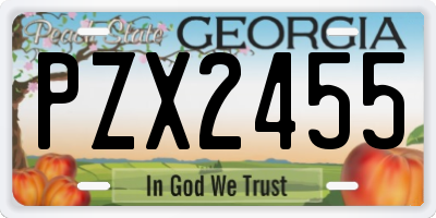 GA license plate PZX2455
