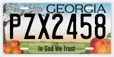 GA license plate PZX2458