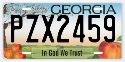 GA license plate PZX2459