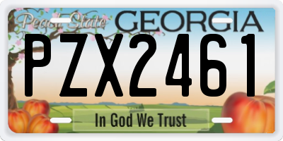GA license plate PZX2461