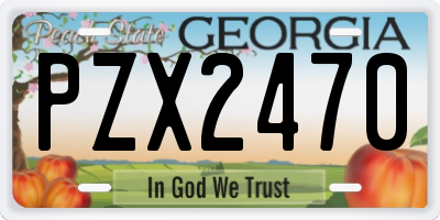 GA license plate PZX2470
