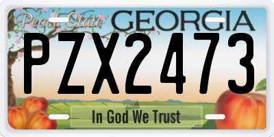 GA license plate PZX2473