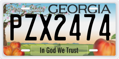 GA license plate PZX2474