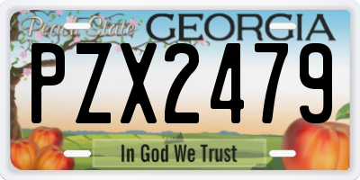 GA license plate PZX2479