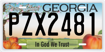 GA license plate PZX2481