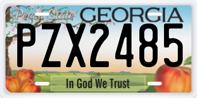 GA license plate PZX2485