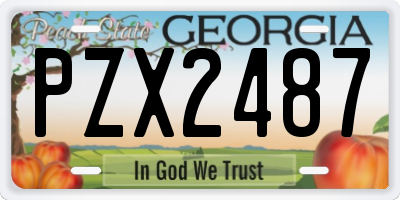 GA license plate PZX2487
