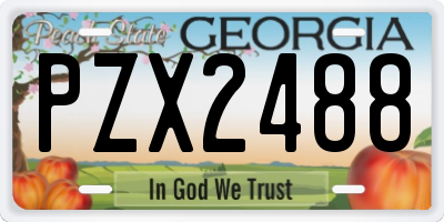 GA license plate PZX2488