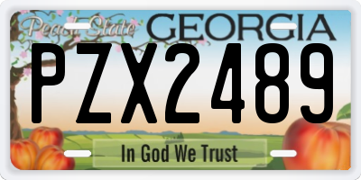 GA license plate PZX2489