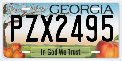 GA license plate PZX2495