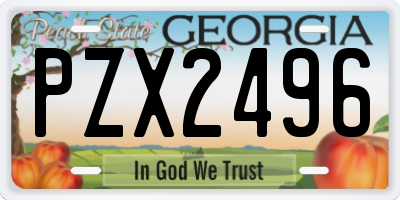 GA license plate PZX2496