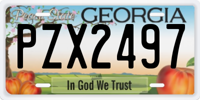 GA license plate PZX2497
