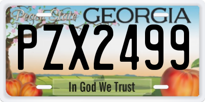 GA license plate PZX2499