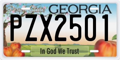 GA license plate PZX2501