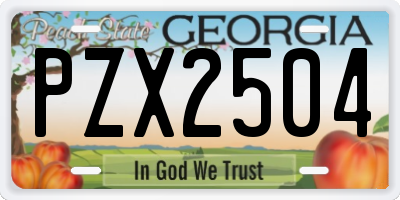 GA license plate PZX2504