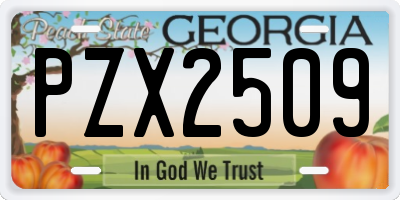 GA license plate PZX2509