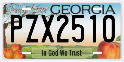 GA license plate PZX2510