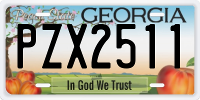 GA license plate PZX2511